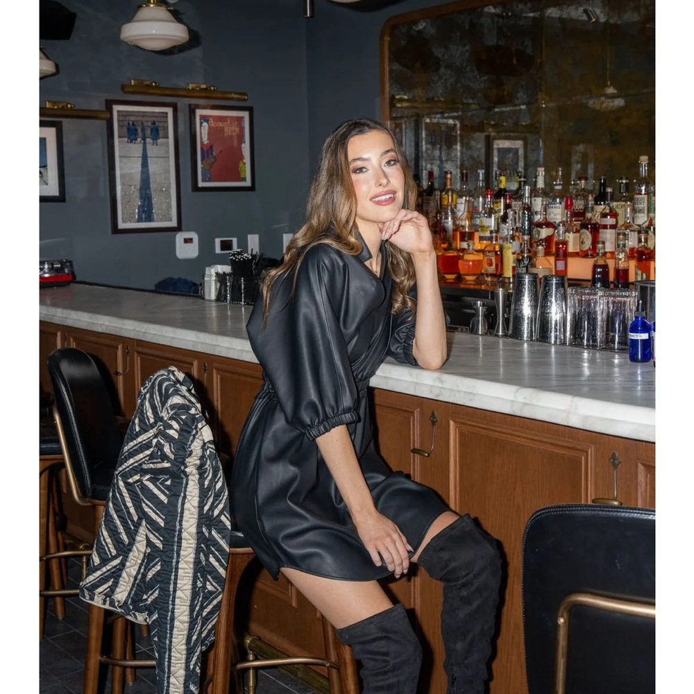 Emily McCarthy Palmer Dress - Picture 6 of 14